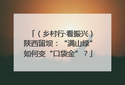（乡村行·看振兴）陕西留坝：“满山绿”如何变“口袋金”？